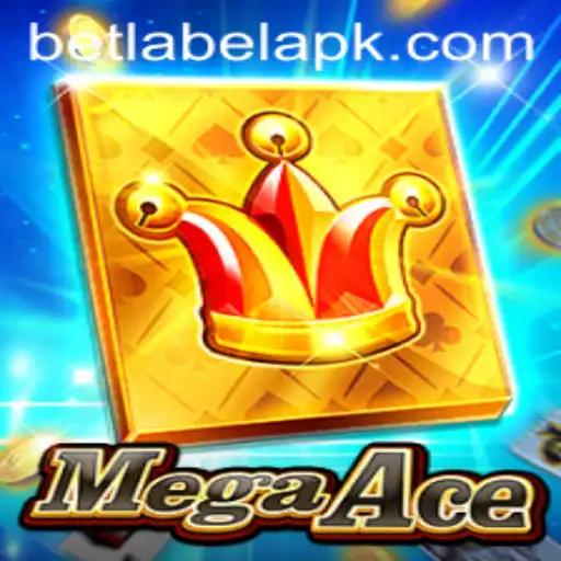 MegaAce: A Comprehensive Guide